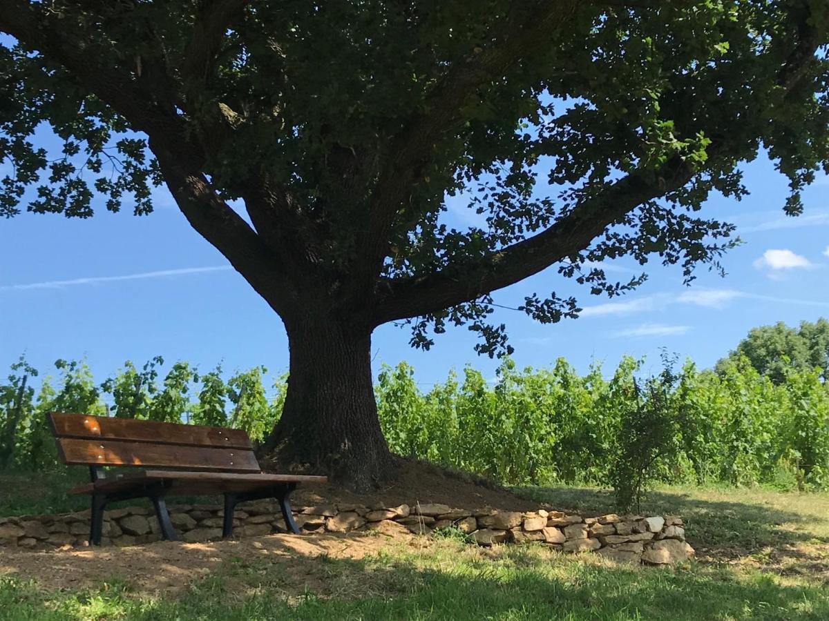 Chasse-sur-Rhône Le Domaine De Gorneton B&B 외부 사진