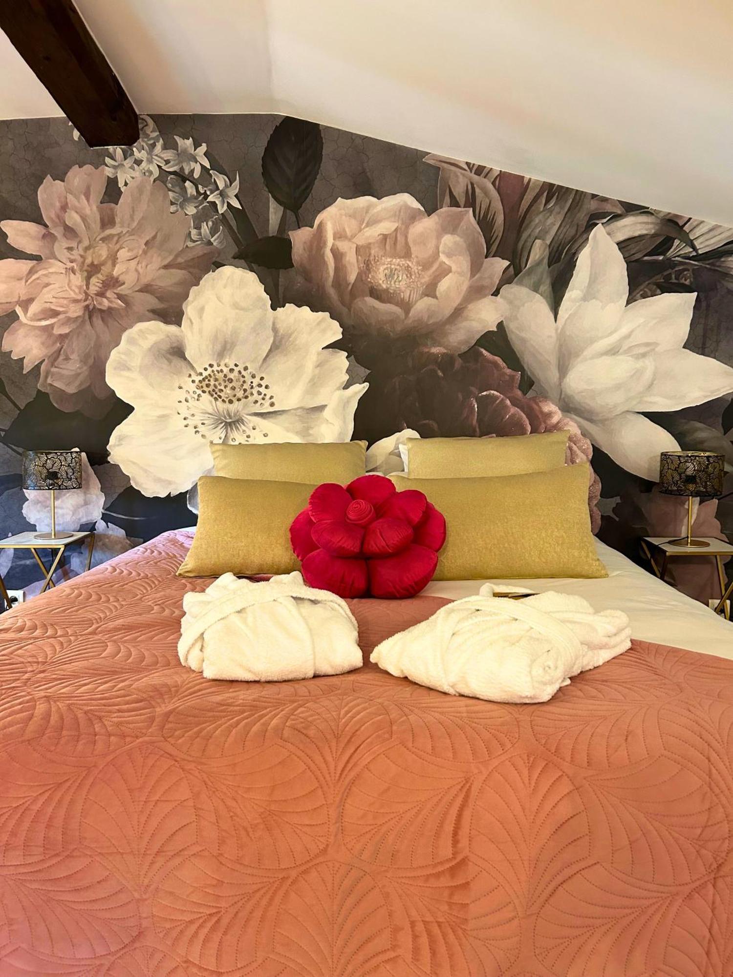Chasse-sur-Rhône Le Domaine De Gorneton B&B 외부 사진