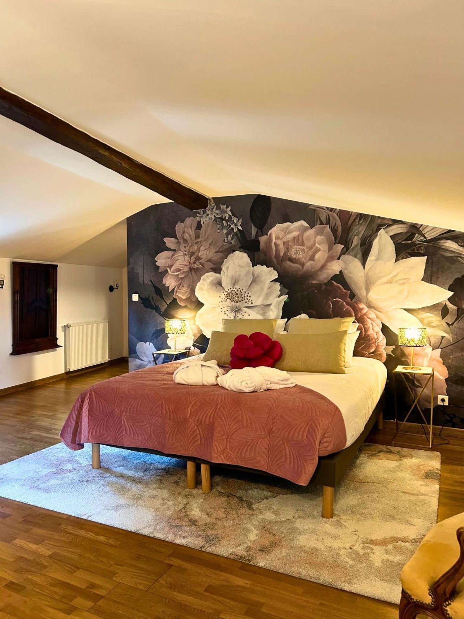 Chasse-sur-Rhône Le Domaine De Gorneton B&B 외부 사진